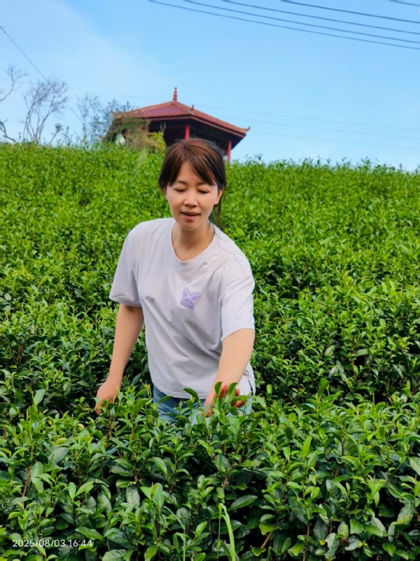 Q绮芳的第一张照片--将乐征婚网